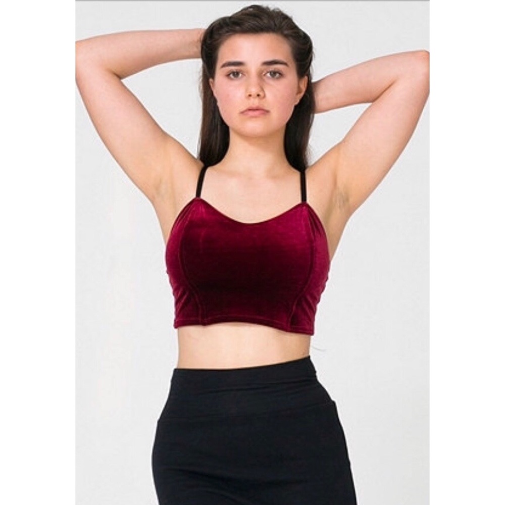 NEVER WORN - Velvet Bustier - American Apparel